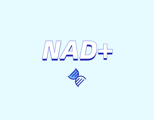 NAD+ 對身體有什么作用？如何獲取 NAD+？